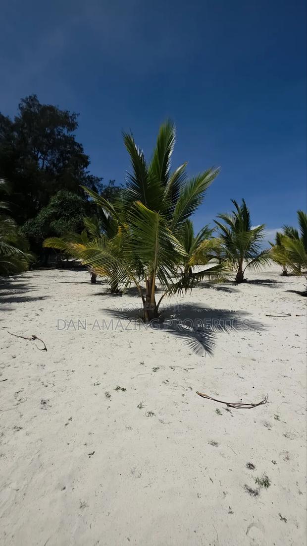 Fully Serviced 1/4 Acre Beach Plot for Sale Diani Galu Kinondo - thumbnail 11