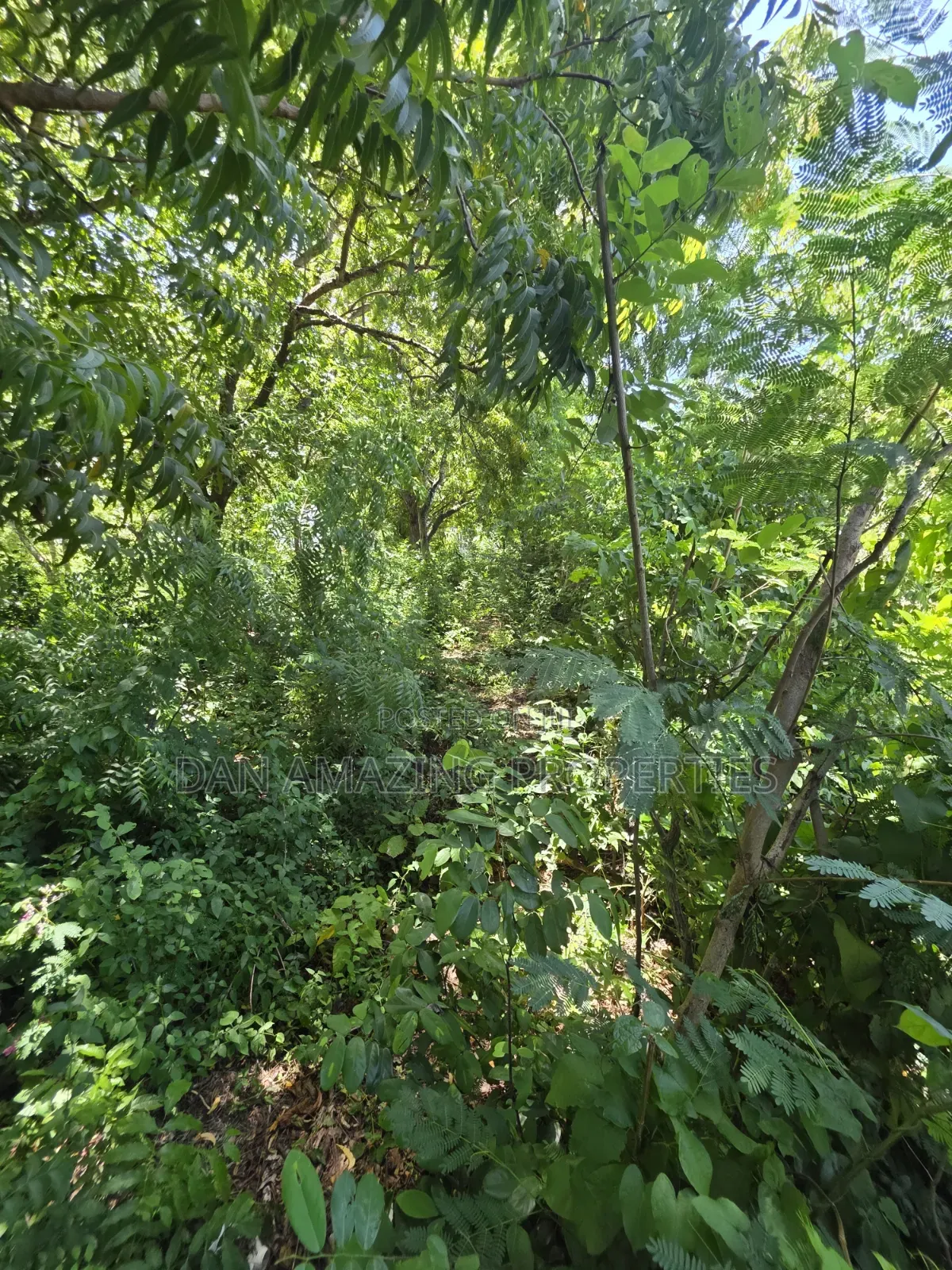 4 Acre In Diani Along Beach Road For Sale As A Block