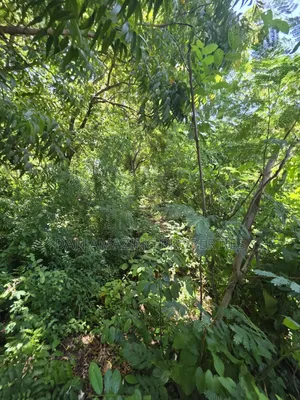 4 Acre In Diani Along Beach Road For Sale As A Block