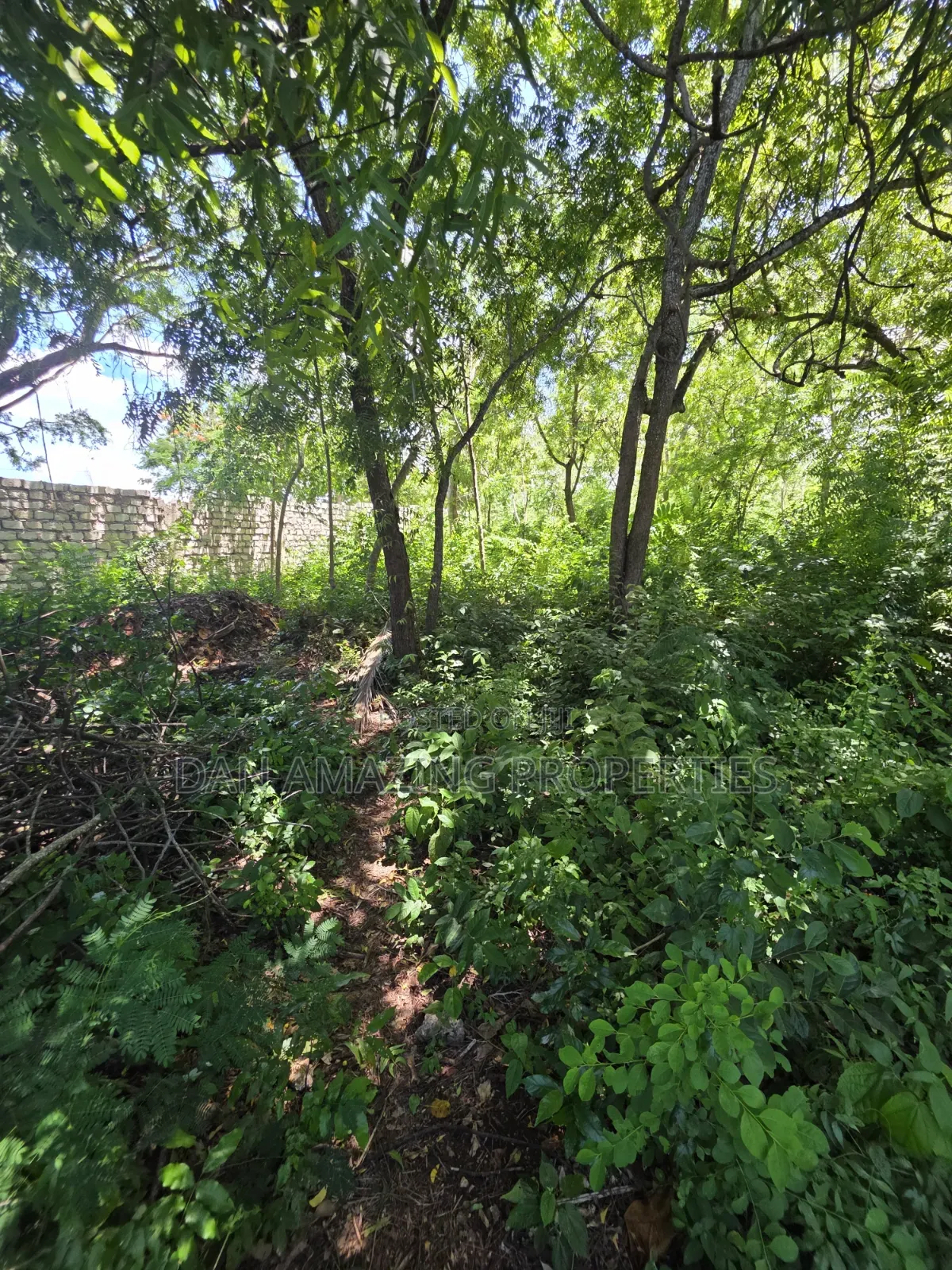 4 Acre In Diani Along Beach Road For Sale As A Block