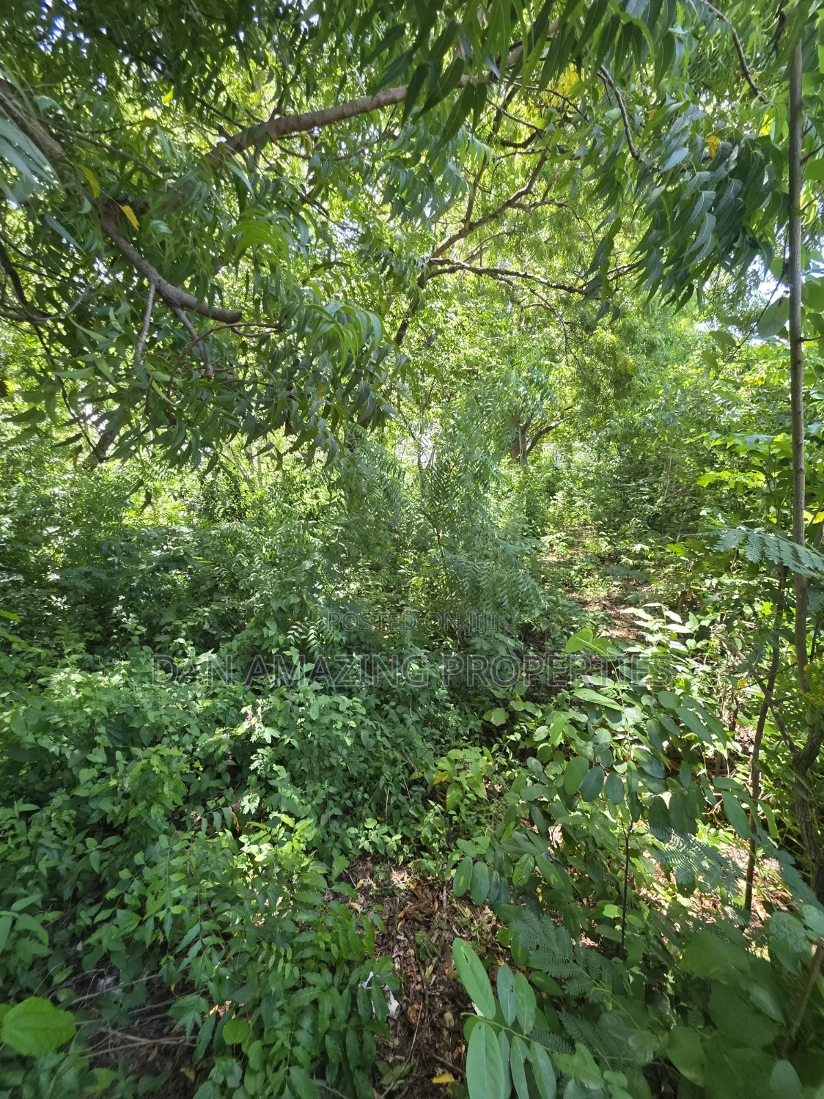4 Acre In Diani Along Beach Road For Sale As A Block