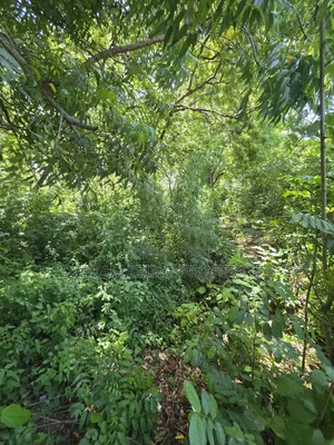 4 Acre In Diani Along Beach Road For Sale As A Block