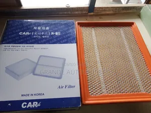 Air Filter Musso/Rodius (Carworld Brand)