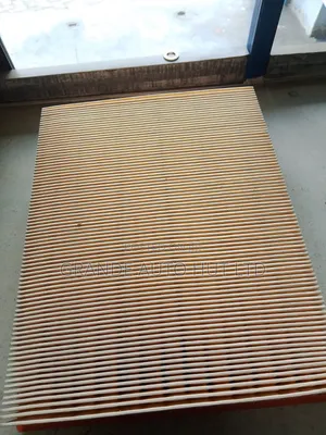 Air Filter Musso/Rodius (Carworld Brand)