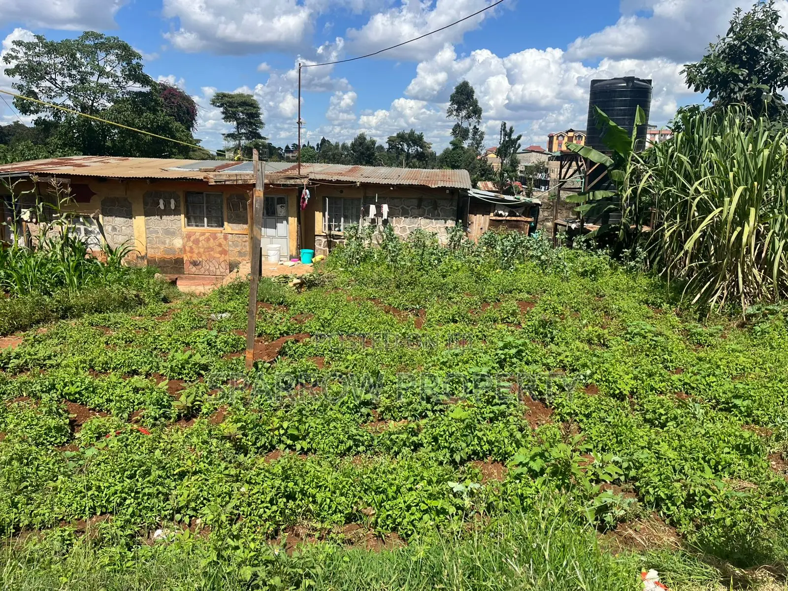 Lower Kabete Redevelopment Plot