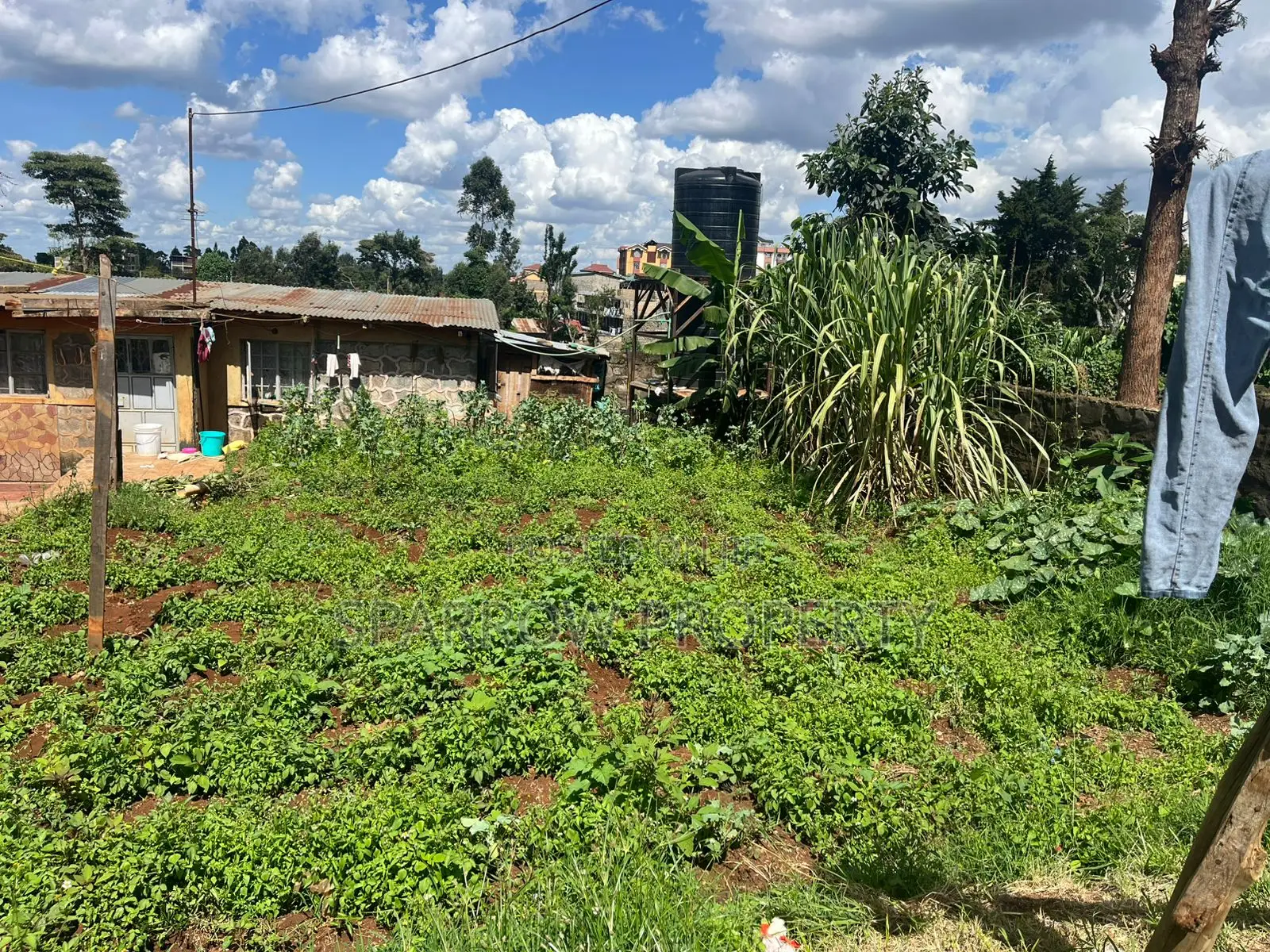 Lower Kabete Redevelopment Plot