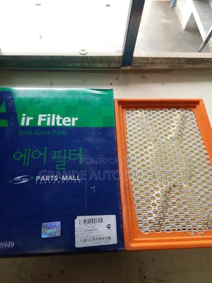 Air Filter Musso Turbo (Partsmall Brand)