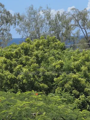 5bdrm Villa in Diani On 1/2 Acre for sale