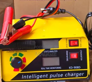 Intelligent Battery Charger 12v/24v