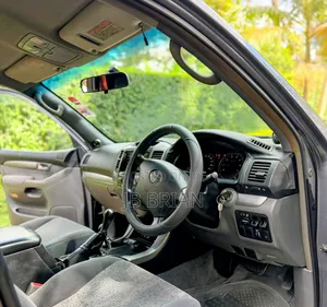 Toyota Land Cruiser Prado 2007 Gray