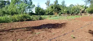 Prime 50x100 Plot in Naisambu – 30m From Tarmac
