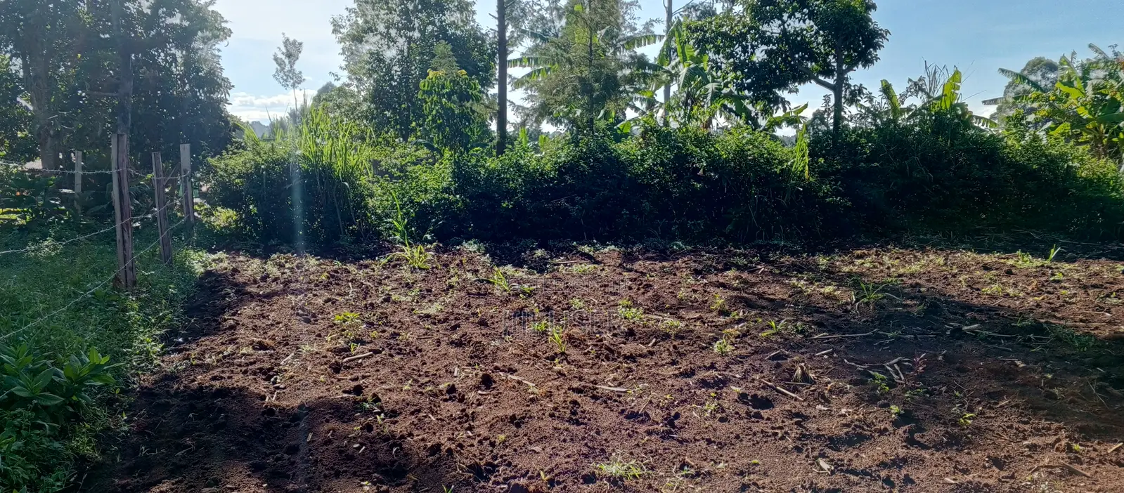 Prime 50x100 Plot in Naisambu – 30m From Tarmac