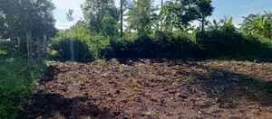 Prime 50x100 Plot in Naisambu – 30m From Tarmac