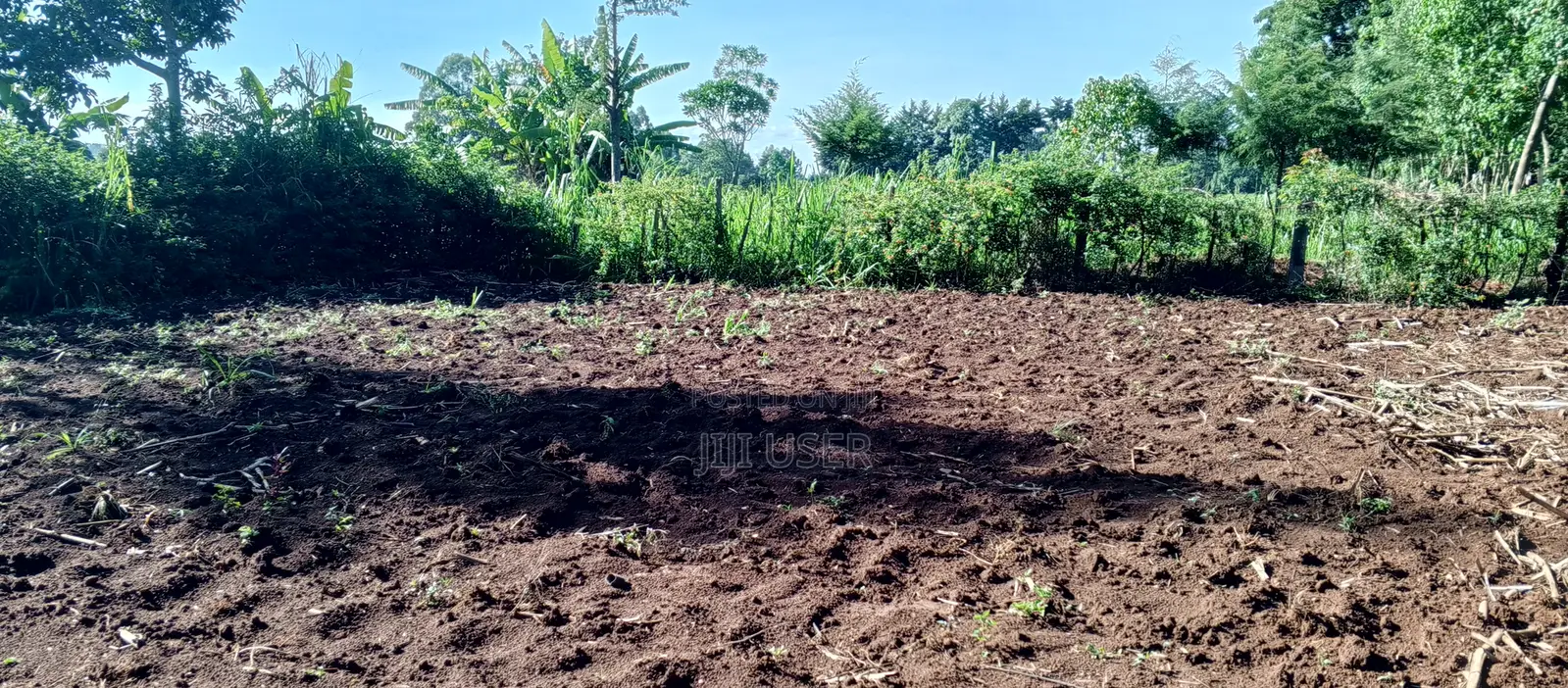 Prime 50x100 Plot in Naisambu – 30m From Tarmac