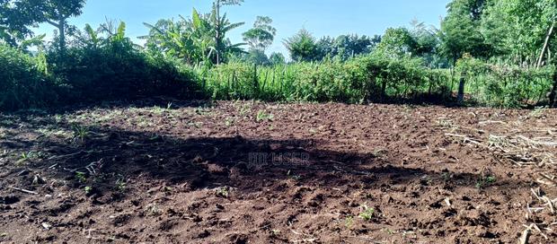 Prime 50x100 Plot in Naisambu – 30m From Tarmac - thumbnail 3