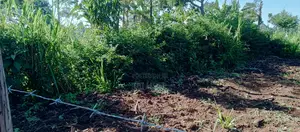 Prime 50x100 Plot in Naisambu – 30m From Tarmac
