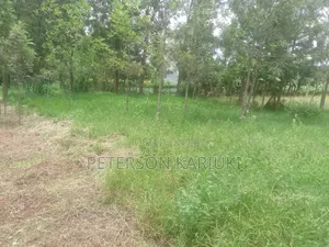 Kibiko Kihbt:1.2 Acres on Sale