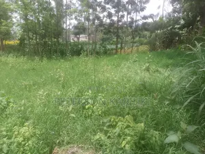 Kibiko Kihbt:1.2 Acres on Sale