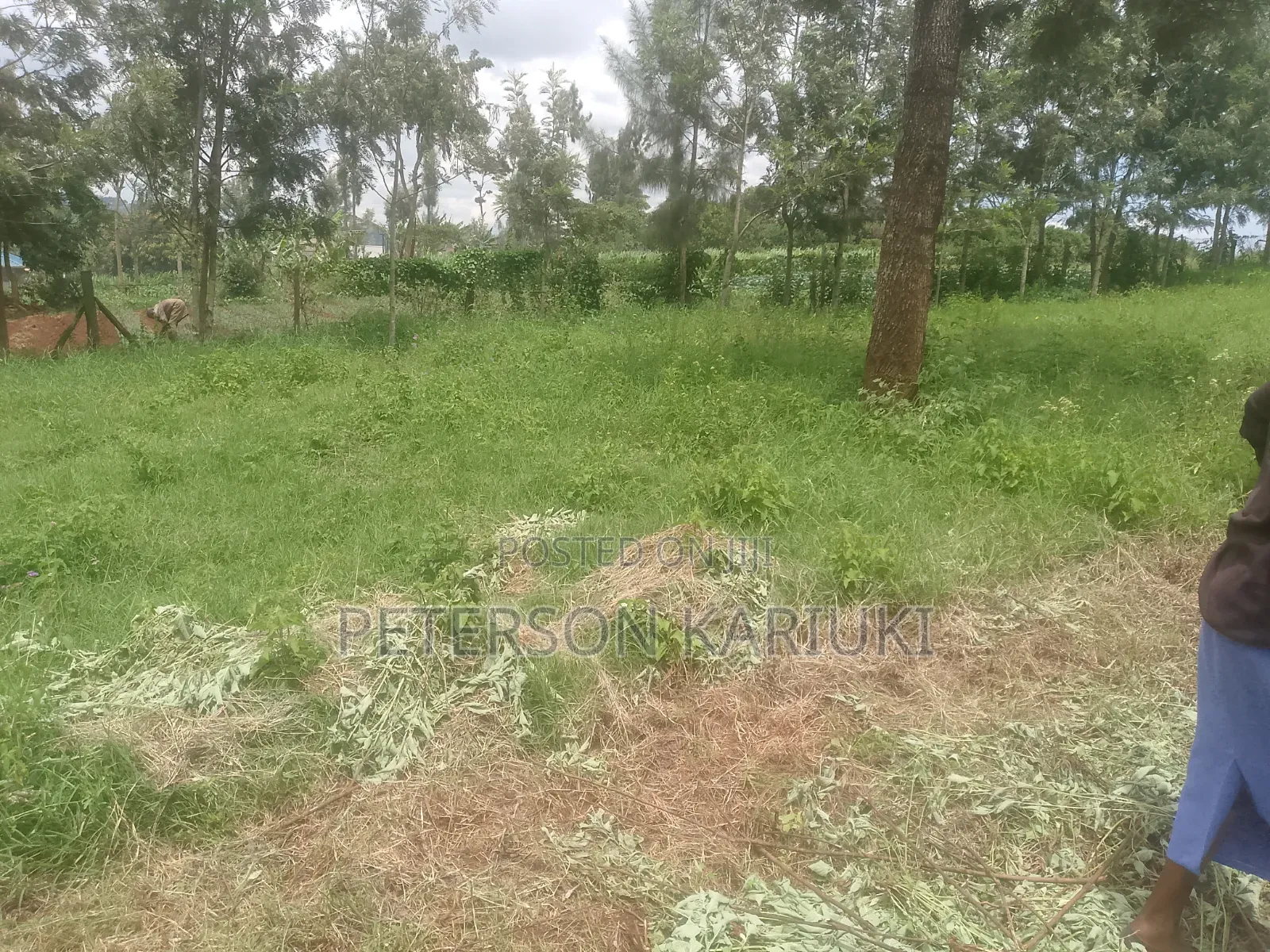 Kibiko Kihbt:1.2 Acres on Sale