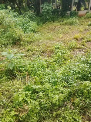 300×400 Plot Sale in Meru