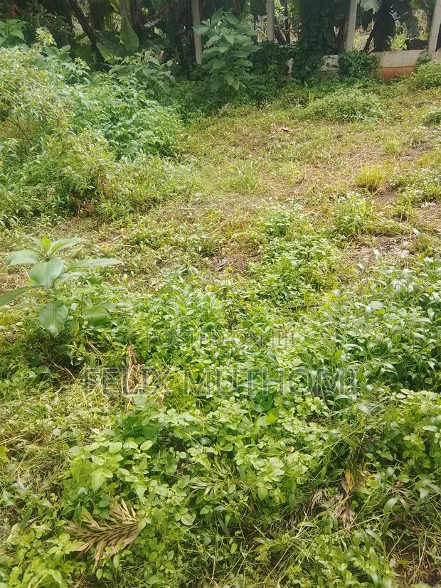 300×400 Plot Sale in Meru - main view
