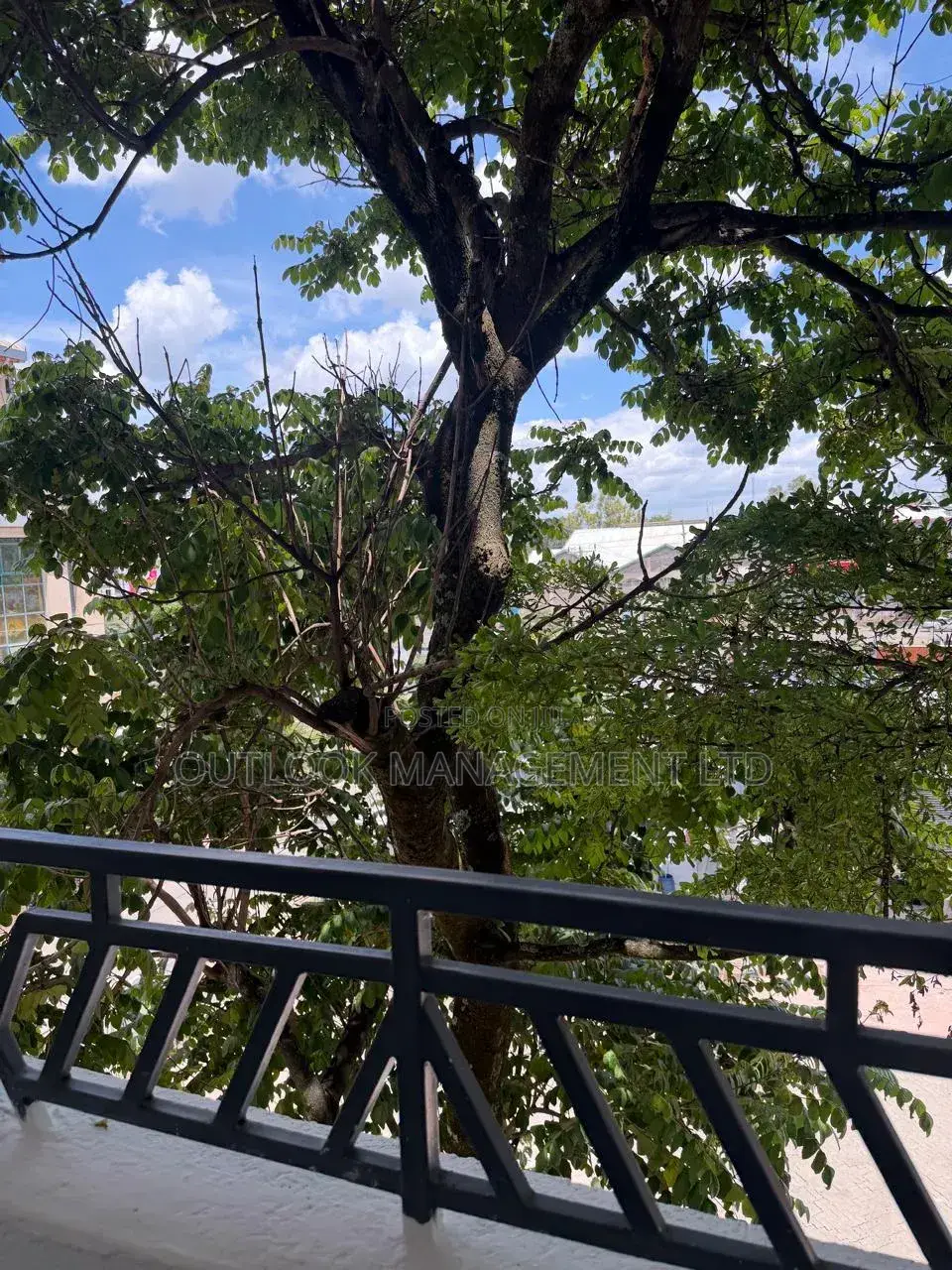 1bdrm Apartment in Hurlingham for rent
