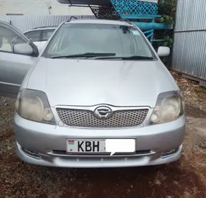Toyota Corolla Fielder 2004 Silver