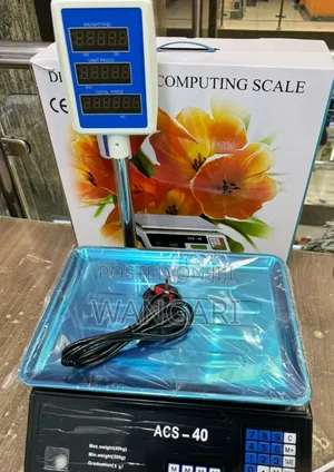 Premier Weigh Scale With Arm