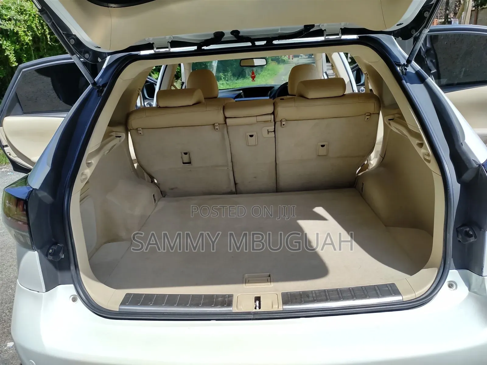 Lexus RX 2011 Pearl