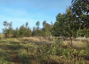 2 Acres Land in Nyahururu, Kinamba