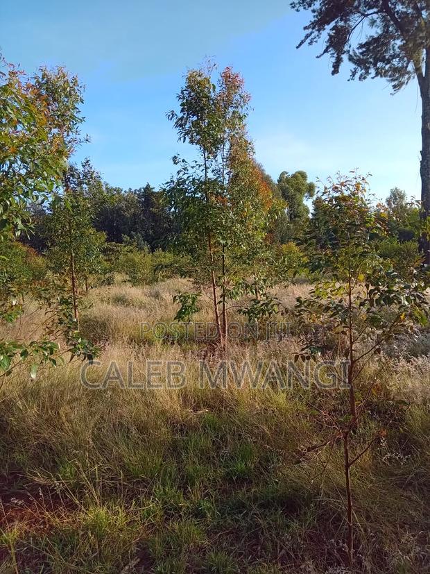 2 Acres Land in Nyahururu, Kinamba - thumbnail 5