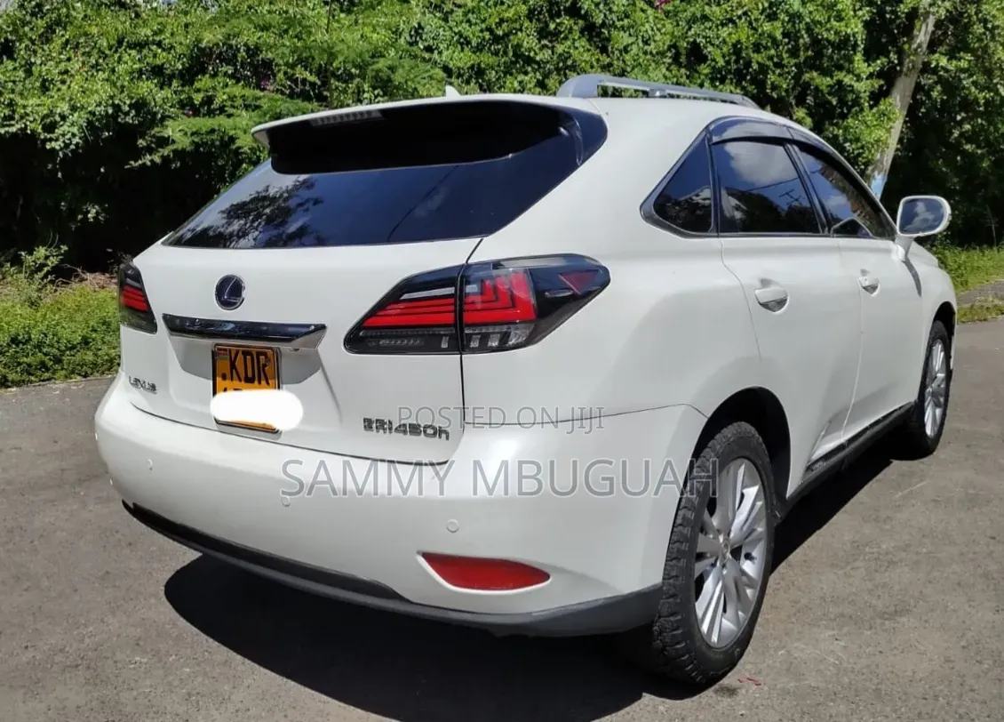Lexus RX 2011 Pearl