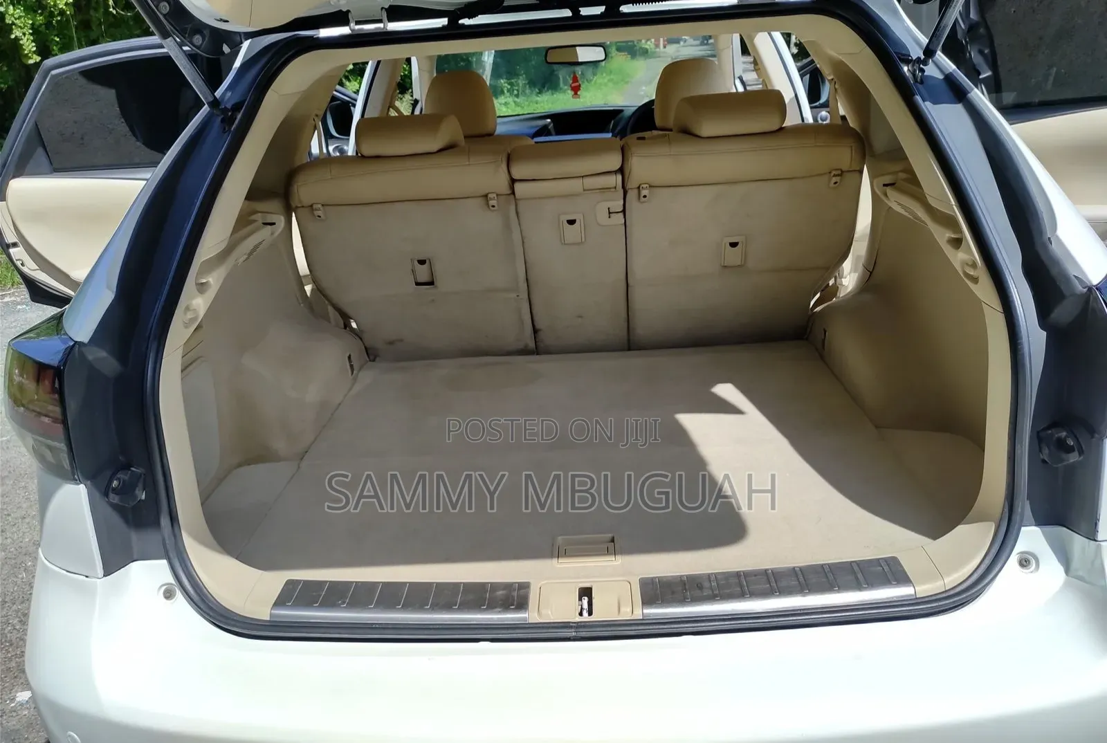 Lexus RX 2011 Pearl