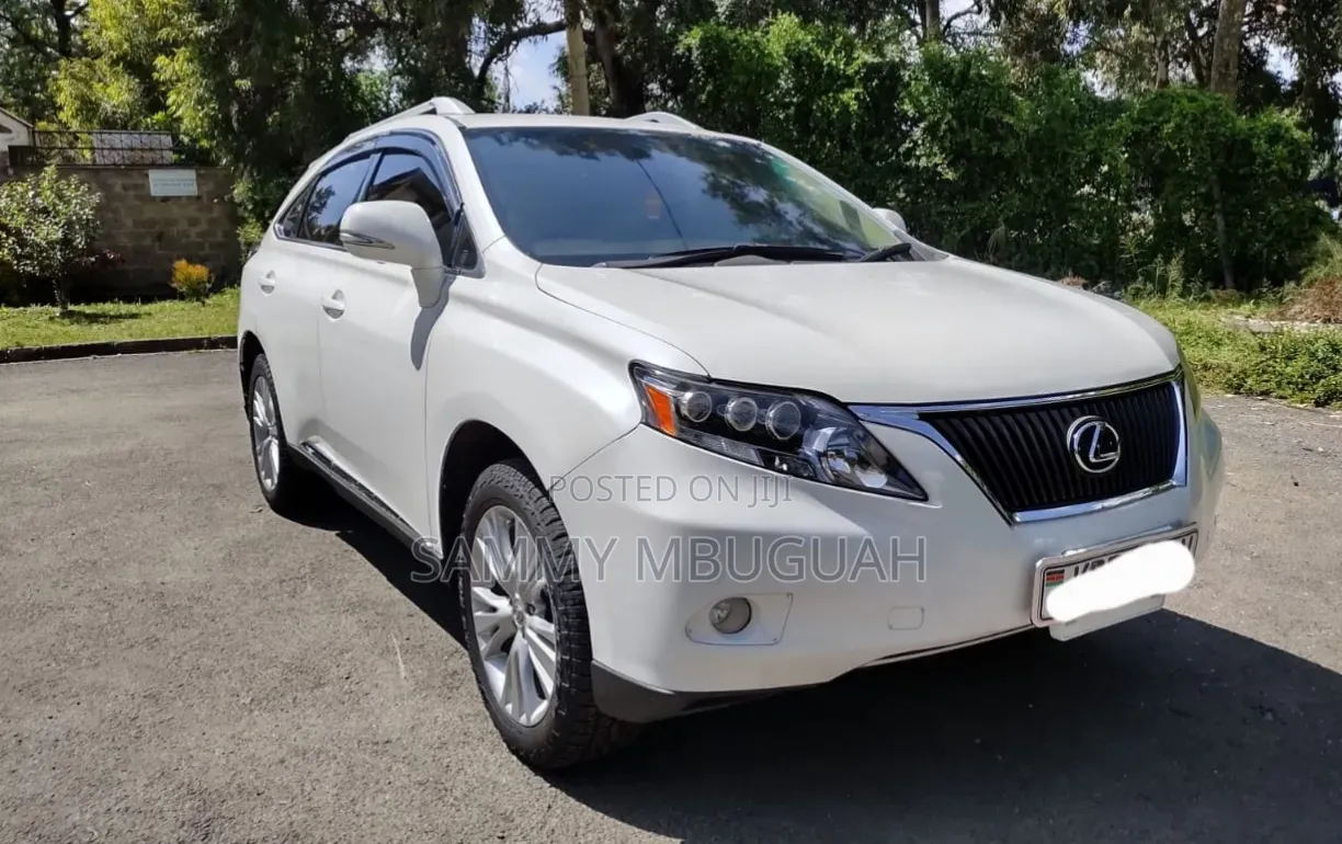 Lexus RX 2011 Pearl