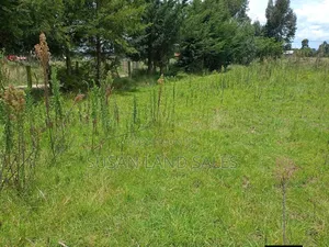 100 Acres at Kajiado West