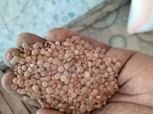 Fabian Traders Cereal Supply