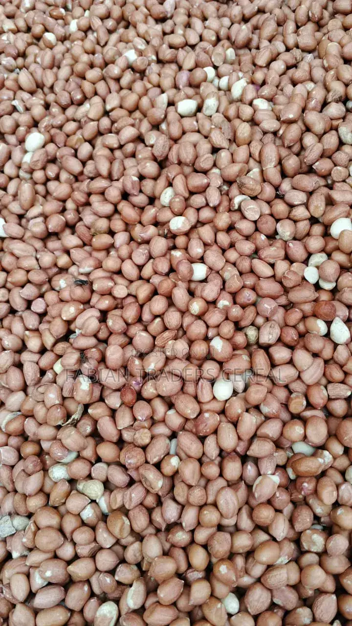 Fabian Traders Cereal Supply