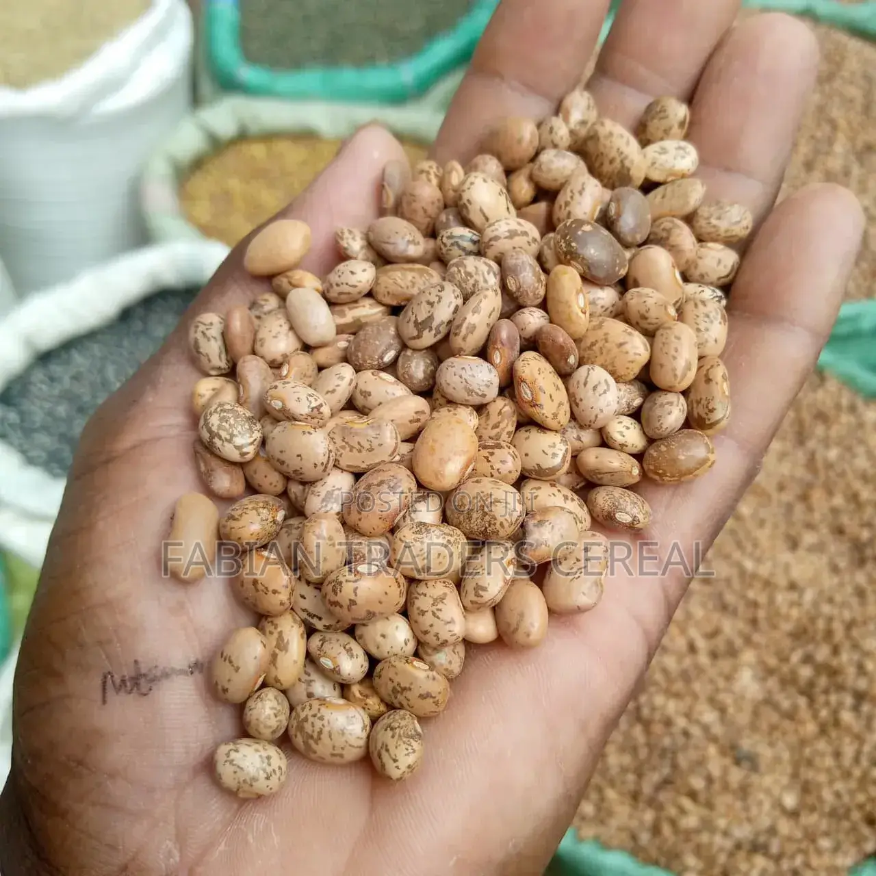Fabian Traders Cereal Supply