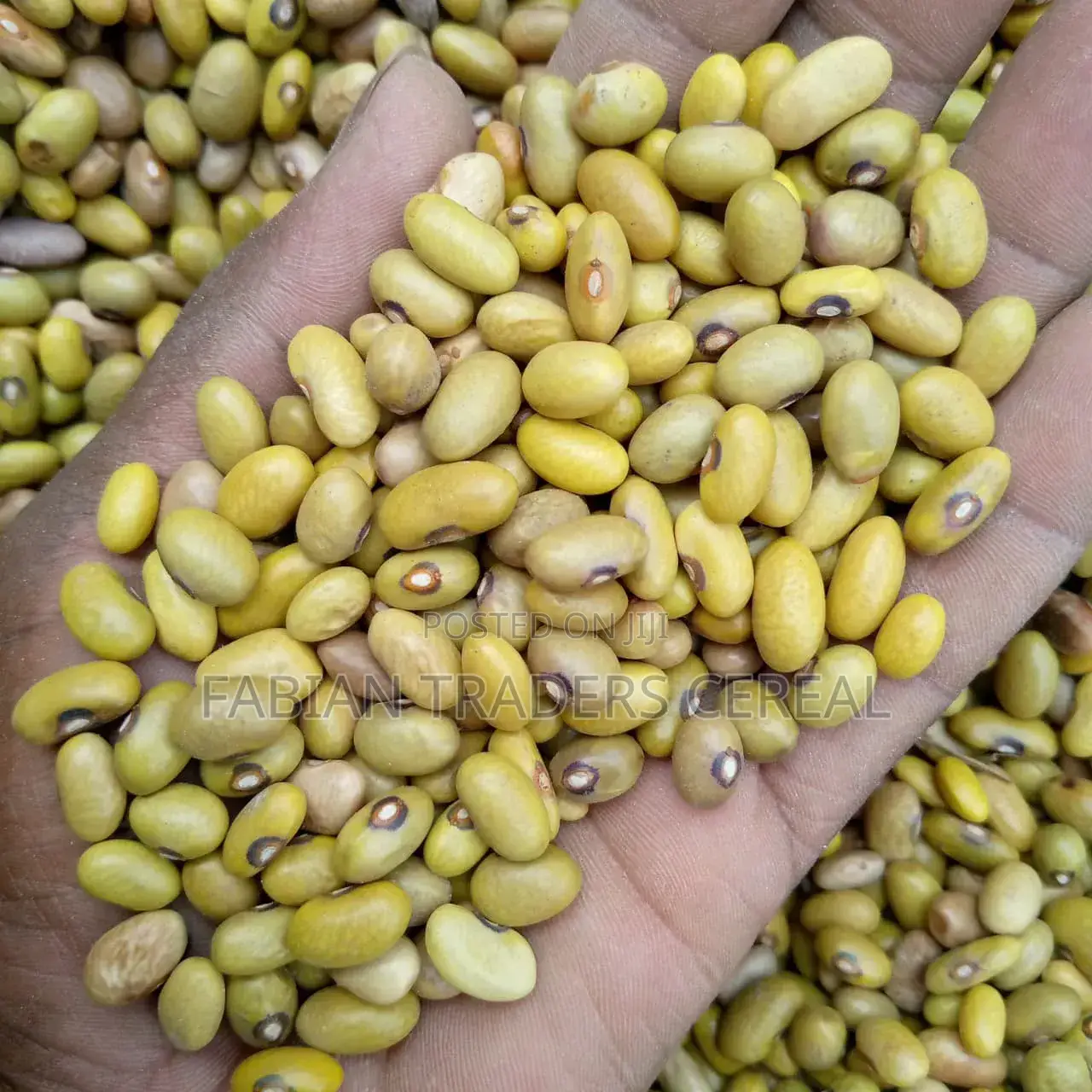 Fabian Traders Cereal Supply