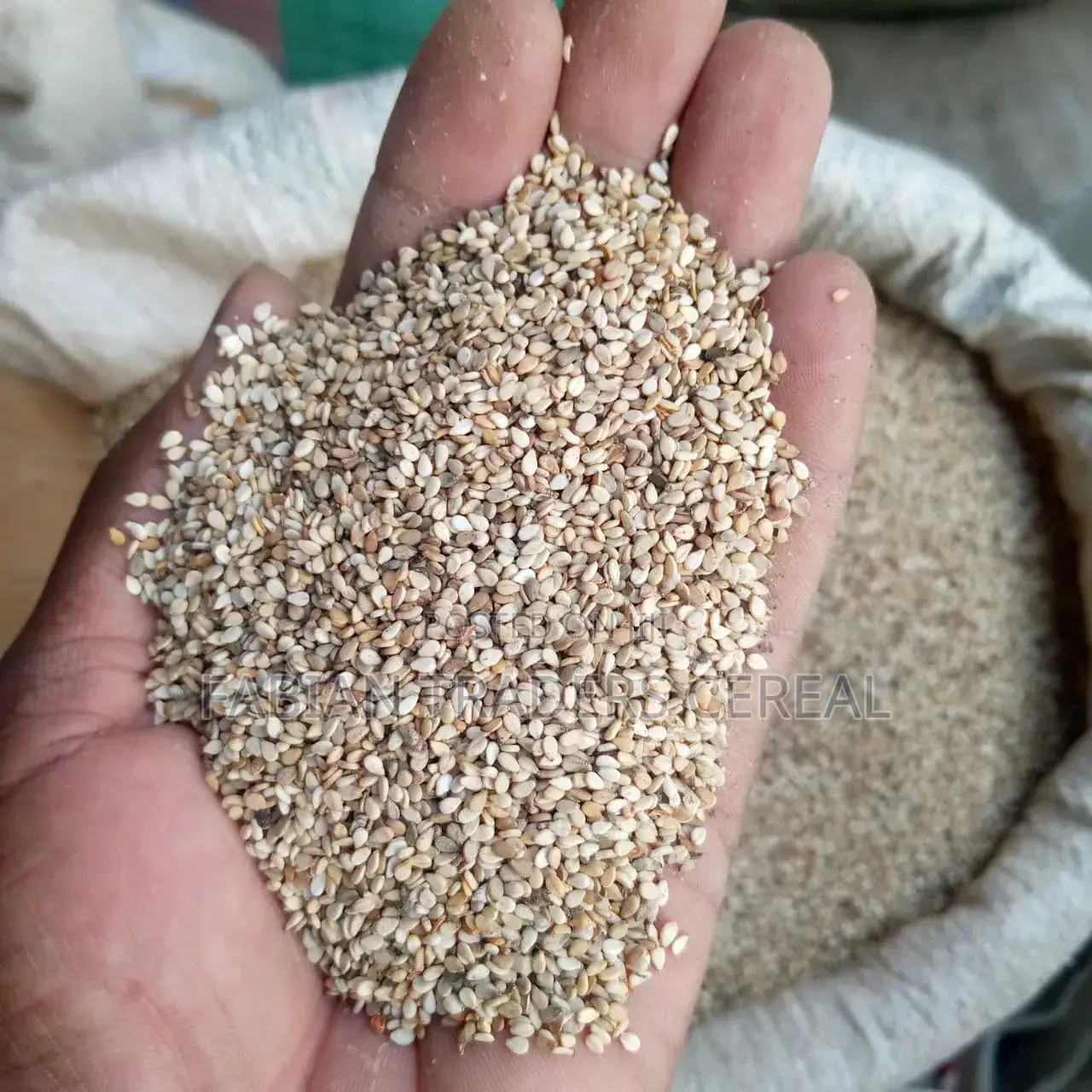 Fabian Traders Cereal Supply
