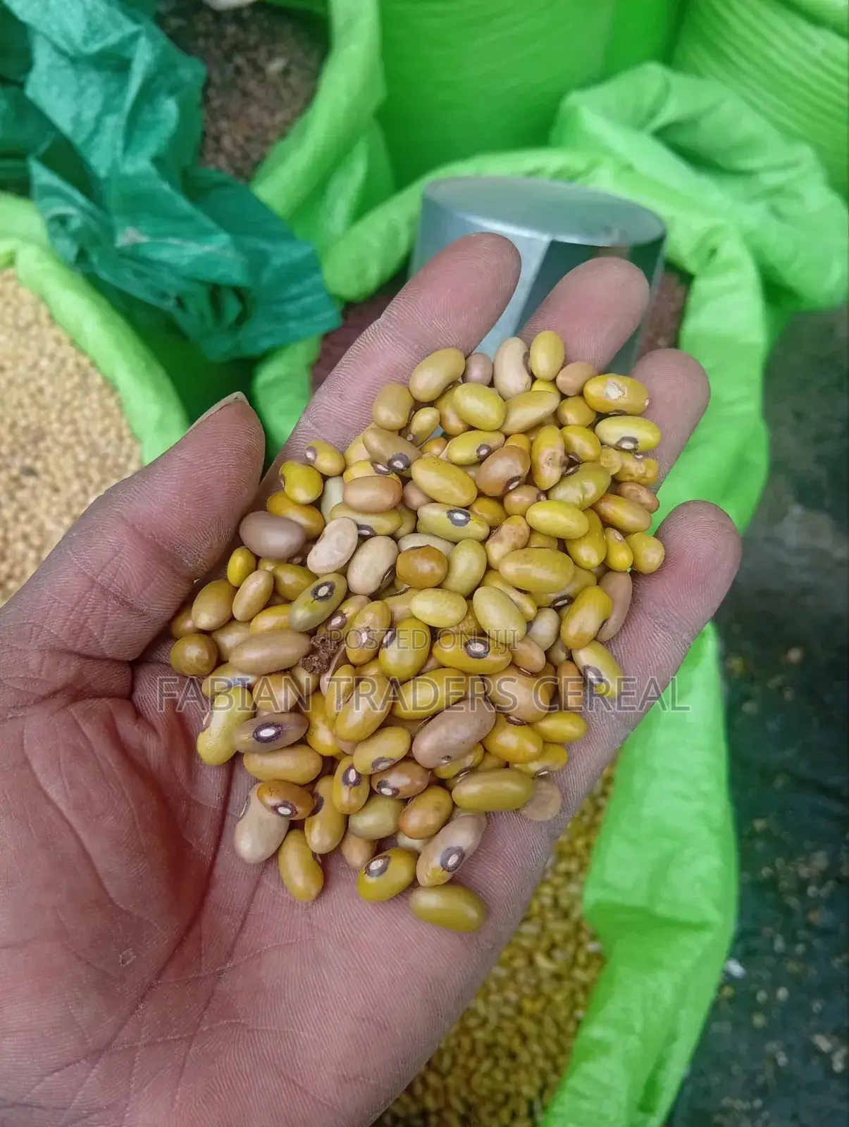 Fabian Traders Cereal Supply