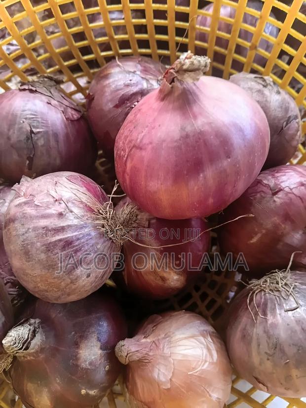 Dry Red Onion