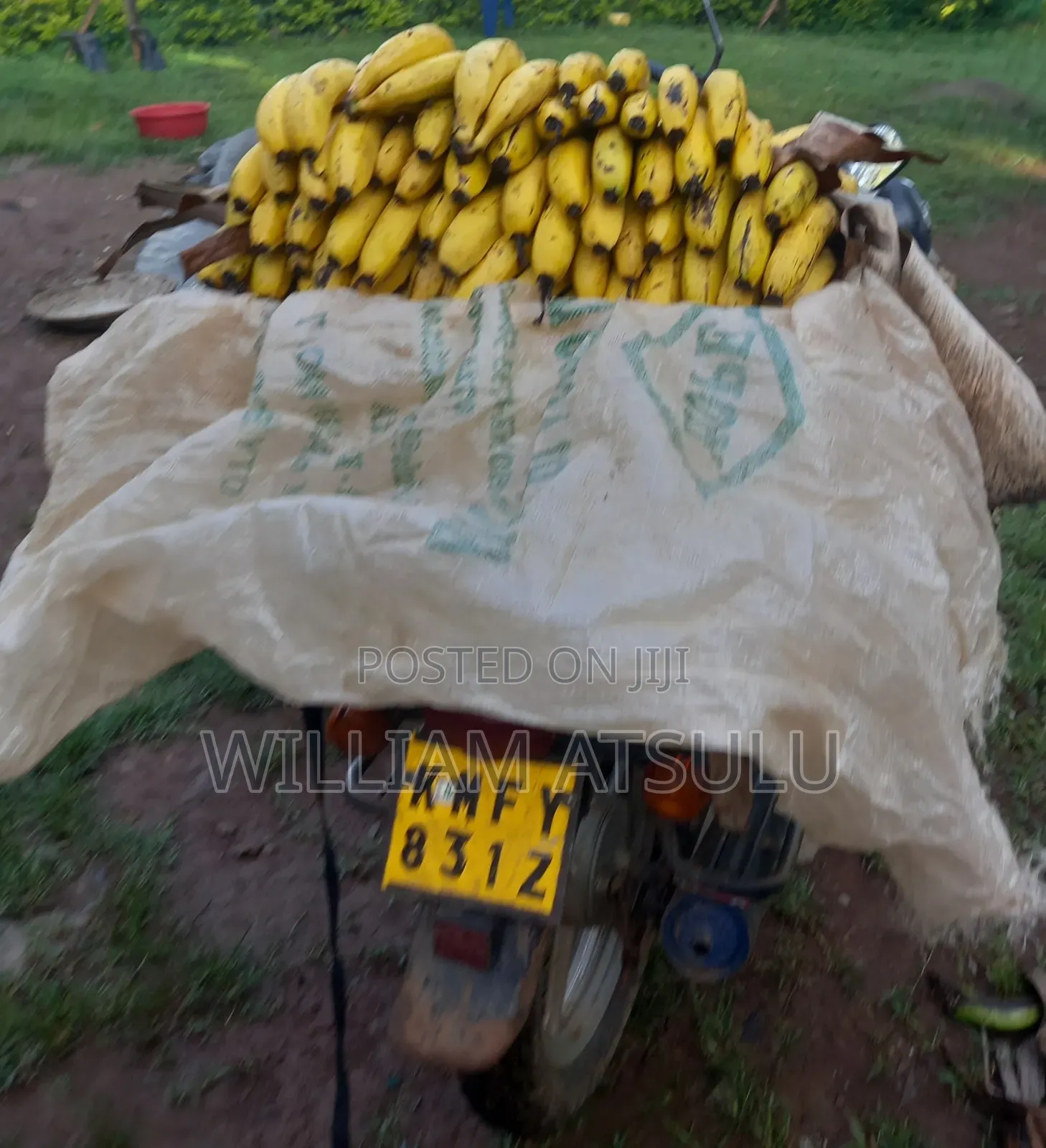 Fresh Banana Location: Butere - Shiatsala Town