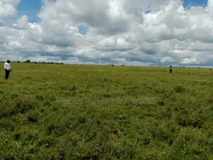 50 By 100 Ft Plots At Konza - Isinya Bypass