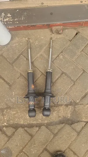 Rear Cedia Mitsubishi Shocks 