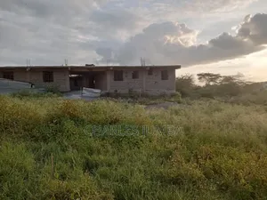 50*100 Plot in Nonkopir