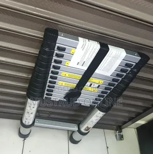 Telescopic Ladder
