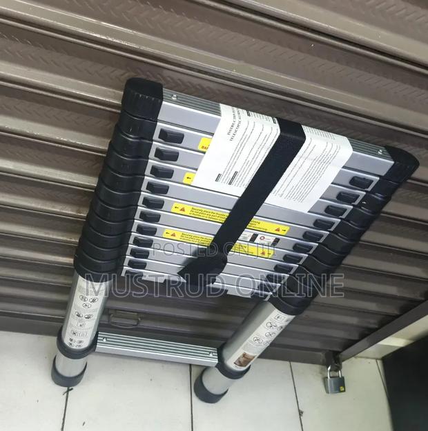 Telescopic Ladder