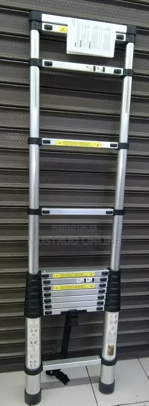 Telescopic Ladder