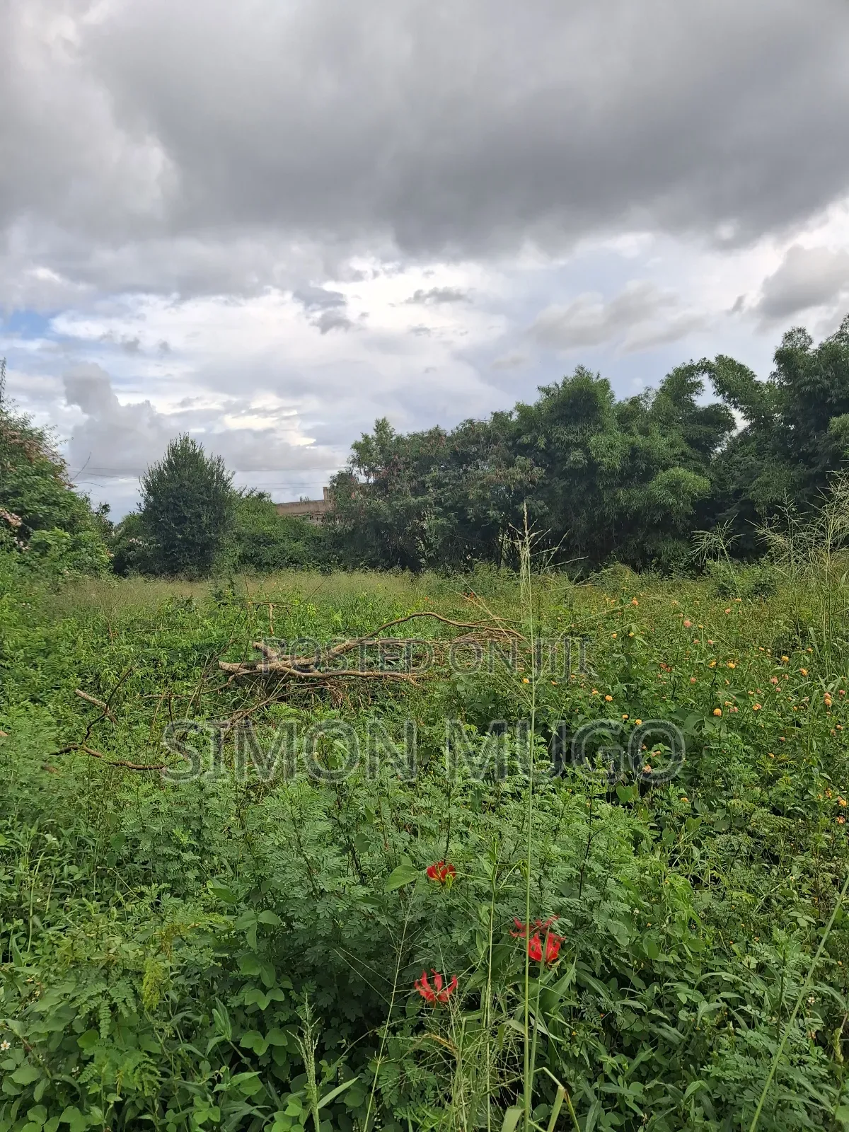 Kamiti Corner Opposite Woodcreek School Prime 1/2 Ac 1.25 Ac